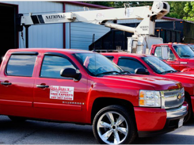 Bill Beal’s Bonded Tree Service