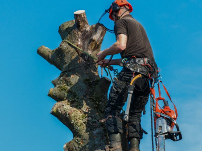 Bill Beal’s Bonded Tree Service