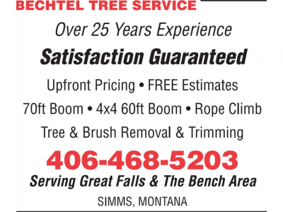 Bechtel Tree Service