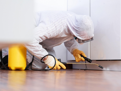 Your Local Pest Control Company Of South Plainfield NJ 07080