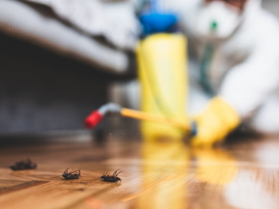 Your Local Pest Control Company Of Toledo OH 43617