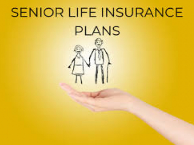 Senior Life Insurance Co Of Cohutta Georgia